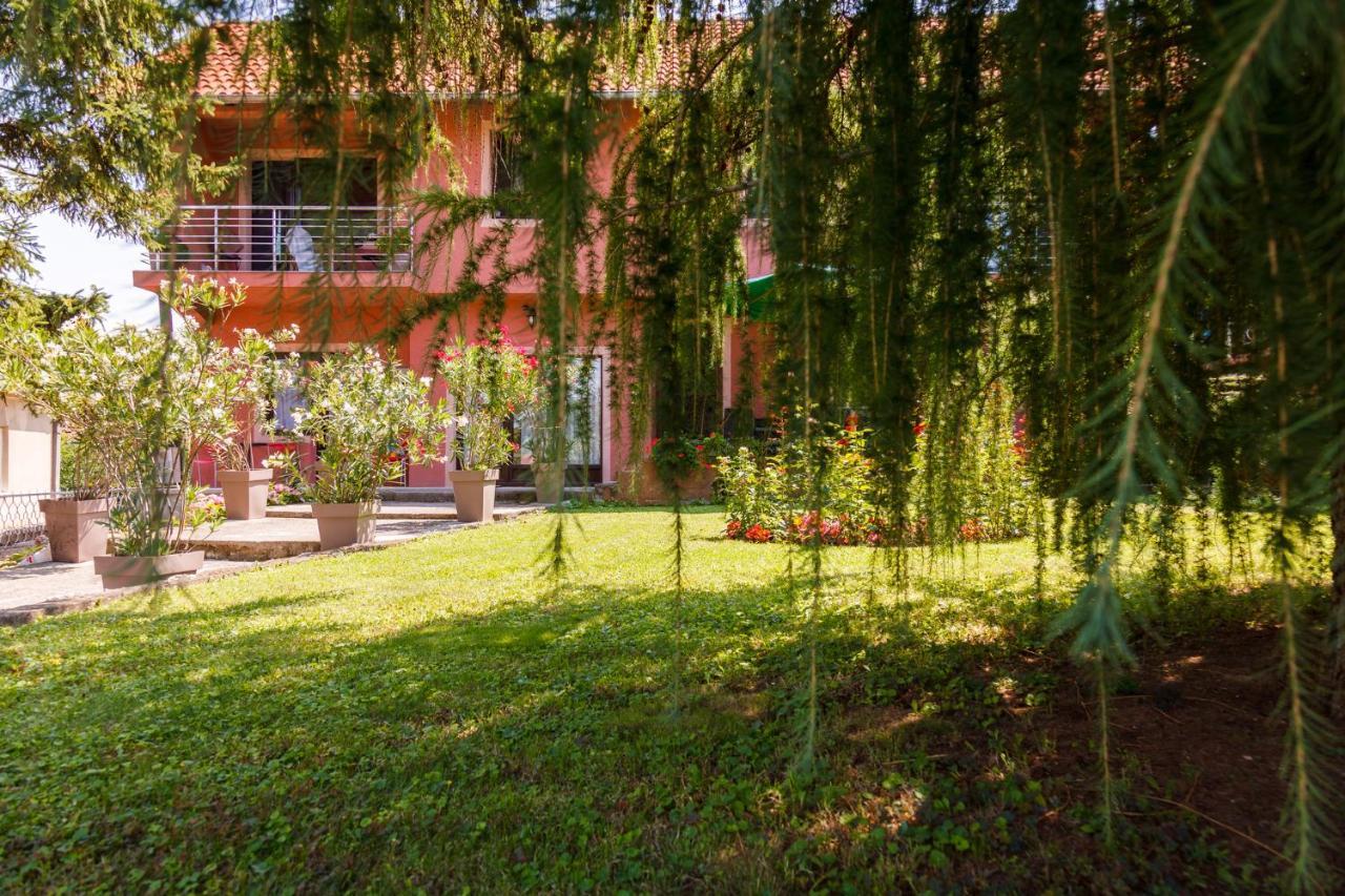 Apartment & Rooms Aleksandar Golubac Eksteriør bilde